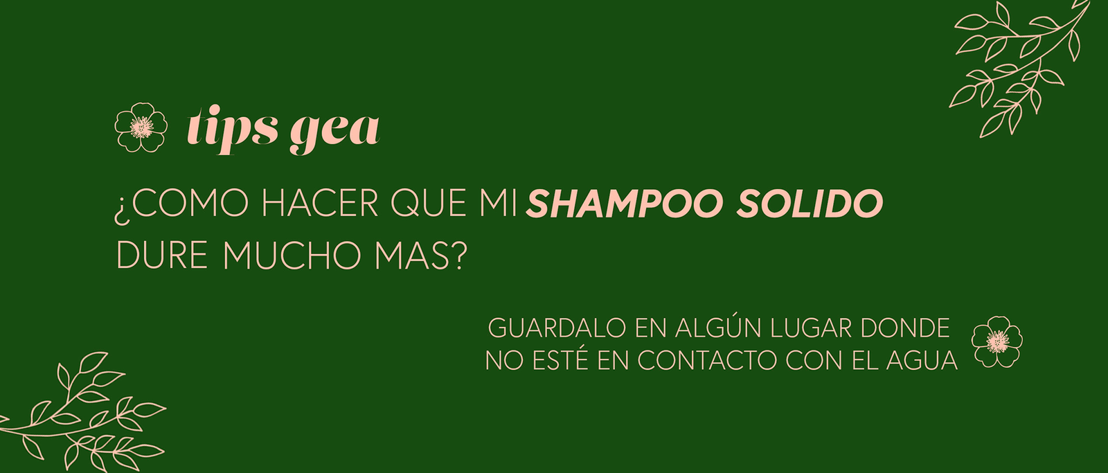Tip para el cuidado del shampoo sólido
